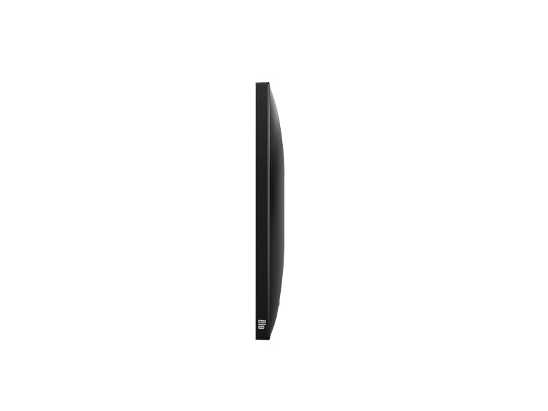 2410L - 23.8" Monitor ohne Touchsensorik, schwarz