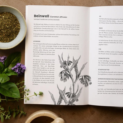 Das Verlorene Handbuch Der Kräutermedizin: Die Heilende Kraft Wirkungsvoller Kräuterheilmittel Der Natur Für Mehr Gesundheit & Energie