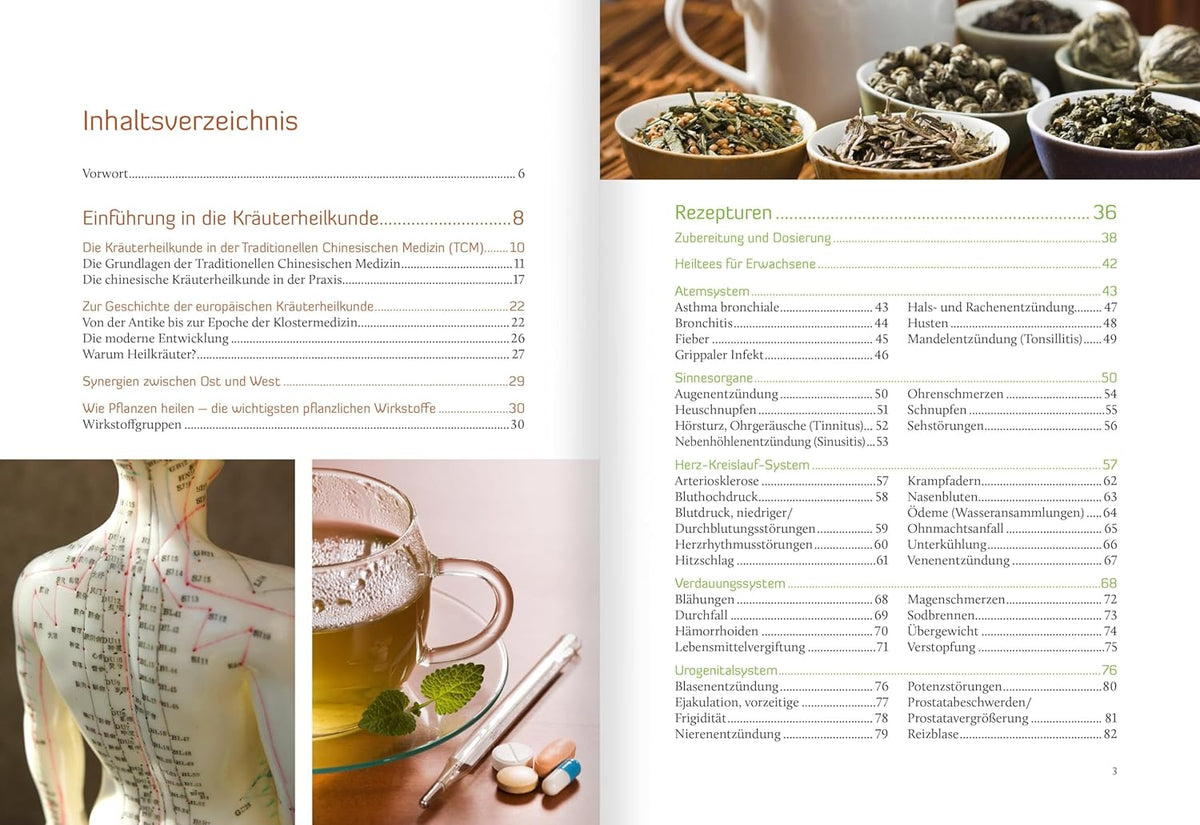 Heiltees Für Körper, Geist Und Seele: Über 300 Wirksame Rezepturen Aus Den Traditionellen Heilkulturen Chinas Und Europas