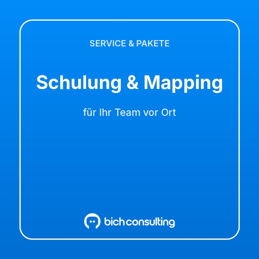 Schulung & Mapping vor Ort