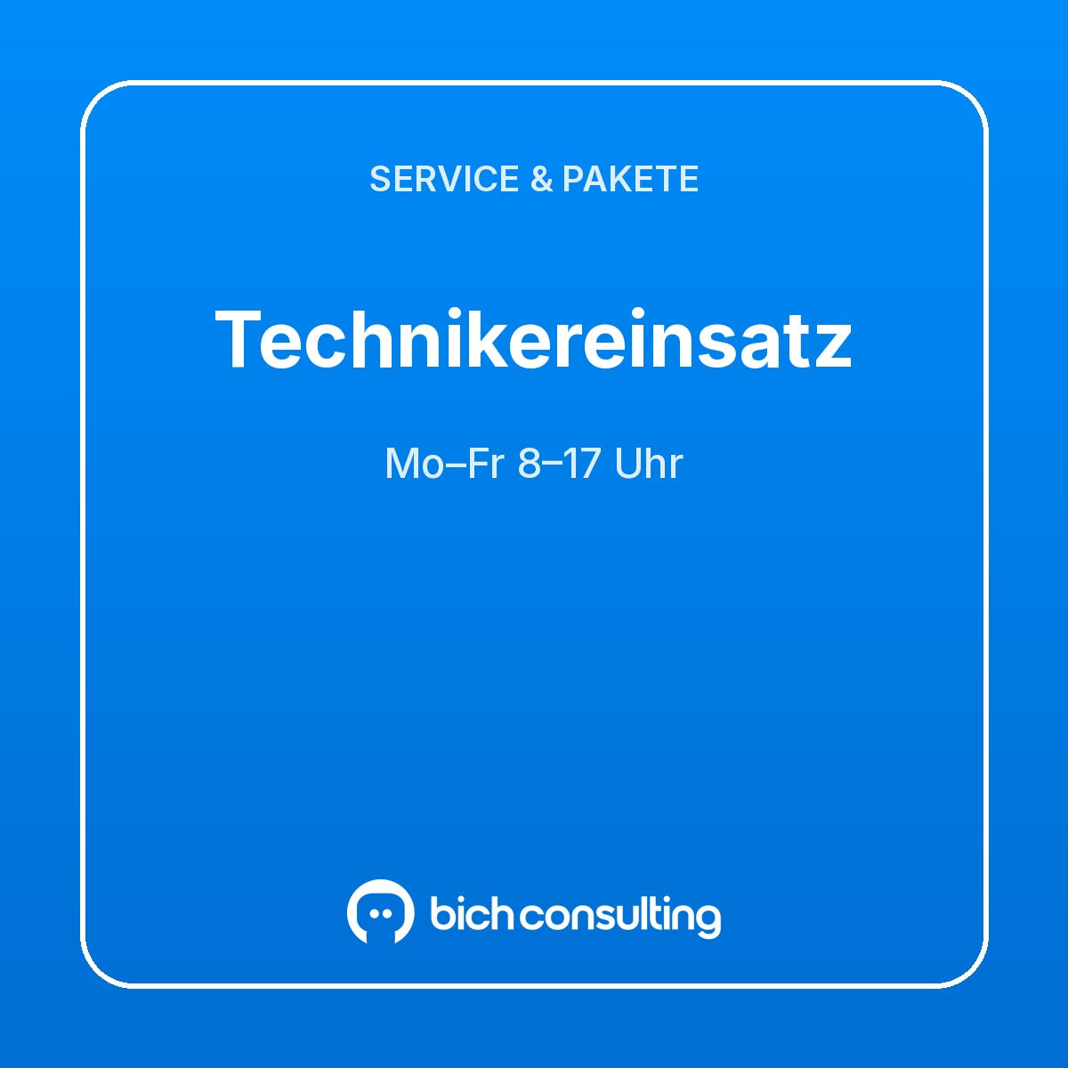 Technikereinsatz vor Ort